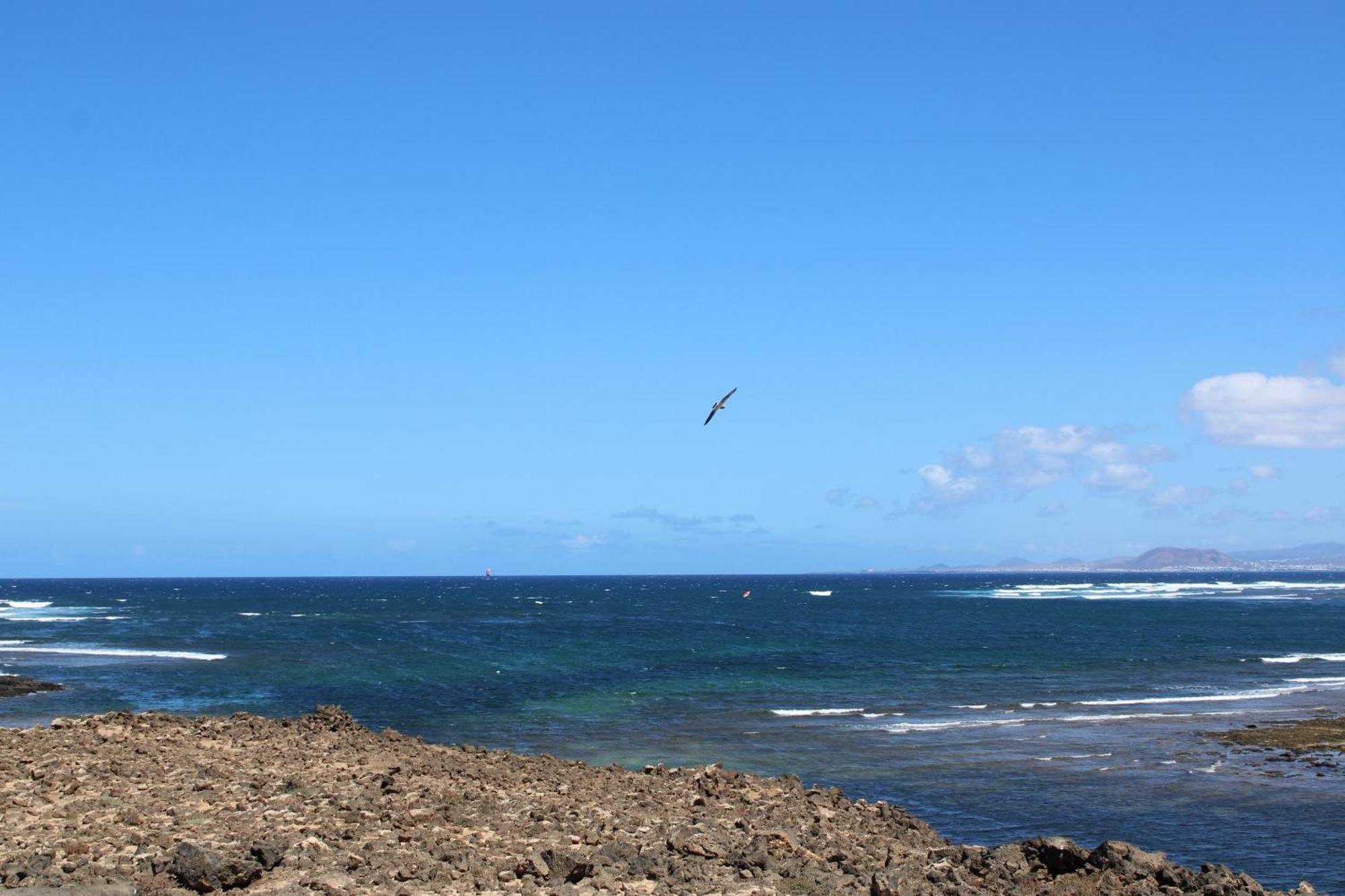 La Maresia By Sea You There Fuerteventura Majanicho Exteriör bild